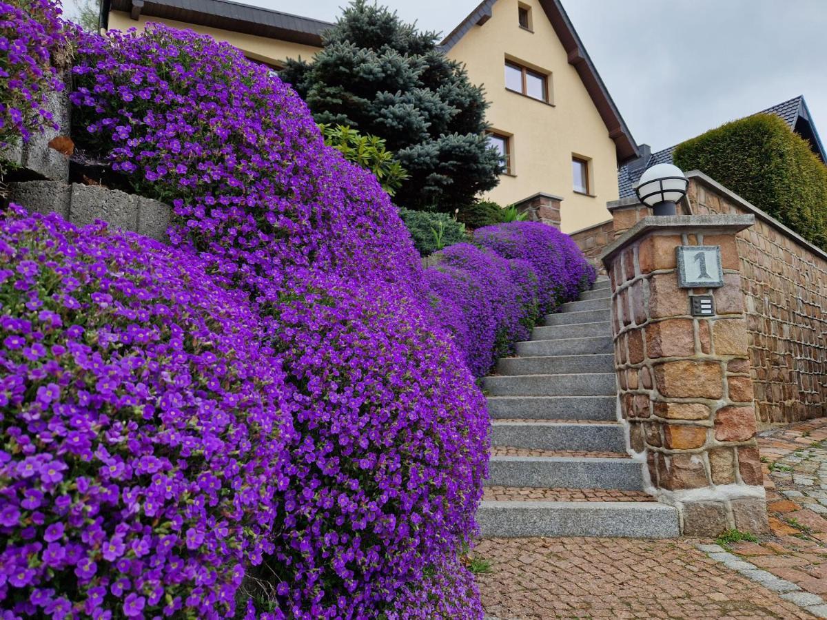 Ferienwohnung Hans Im Glueck Olbernhau Eksteriør bilde
